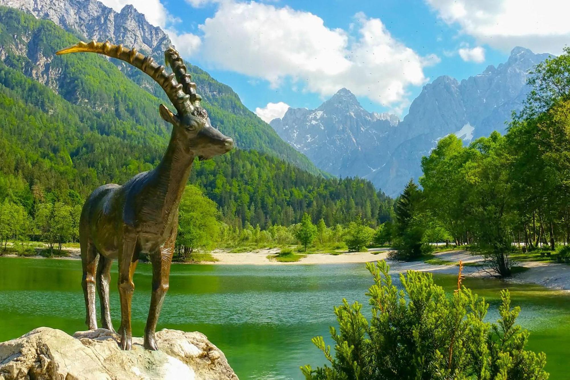 Alpine Retreat Gaja Kranjska Gora - Happy Rentals Εξωτερικό φωτογραφία