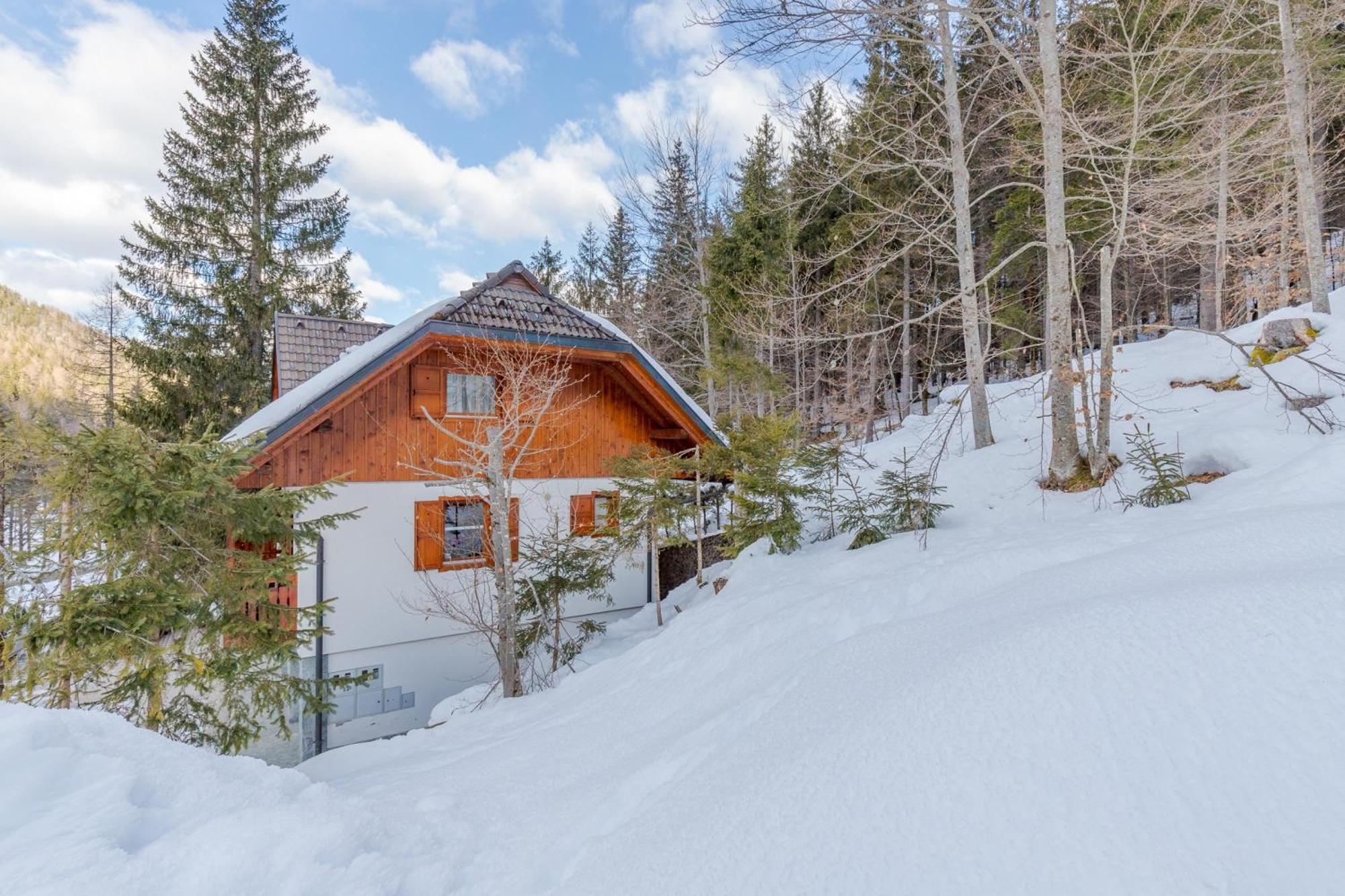 Alpine Retreat Gaja Kranjska Gora - Happy Rentals Εξωτερικό φωτογραφία